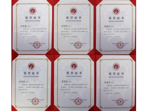 <b>直線（拉繩）位移傳感器標(biāo)準(zhǔn)起草榮譽(yù)證書</b>