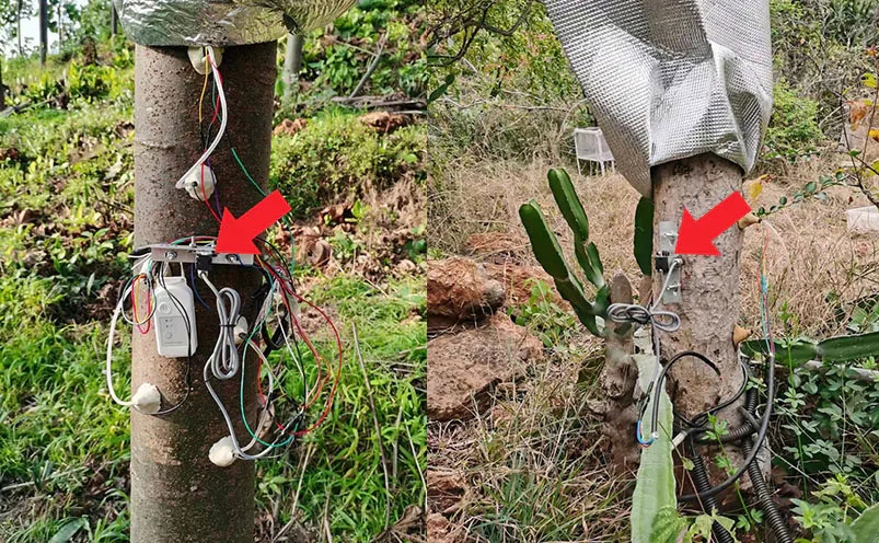 直線位移傳感器植物生長(zhǎng)監(jiān)測(cè)應(yīng)用